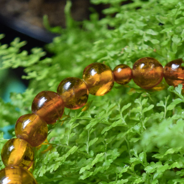 [One of a kind] 8mm Nature Amber Beads Bracelet