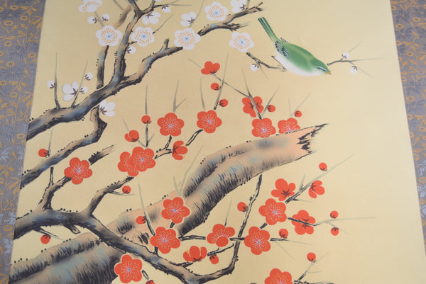 Japanese Hanging Scroll - Plum blossoms and winter aconite