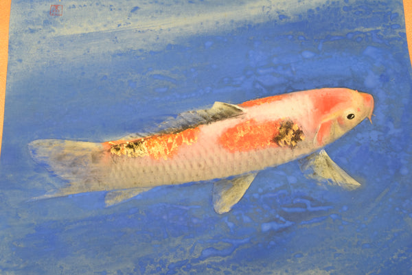 Japanese Hanging Scroll - Varicolored Carp